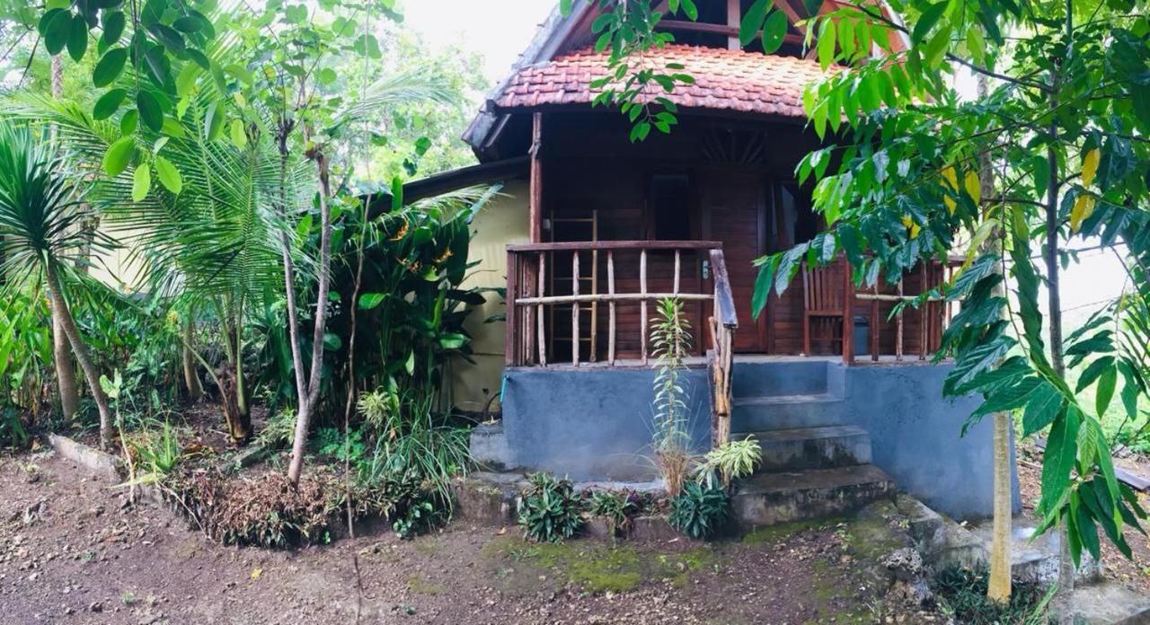 Echo Alam Nusa Lodge Ped Eksteriør bilde