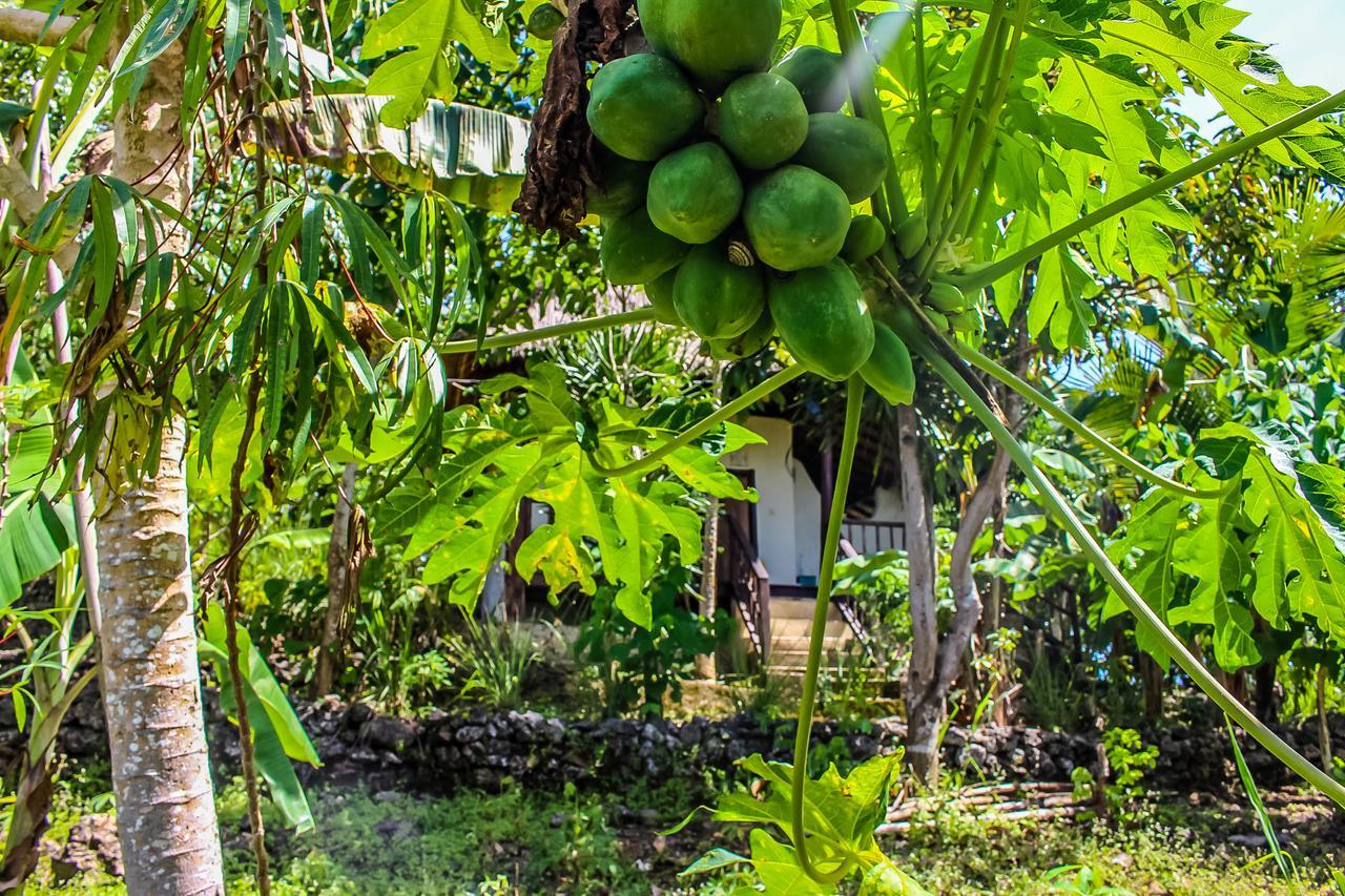Echo Alam Nusa Lodge Ped Eksteriør bilde