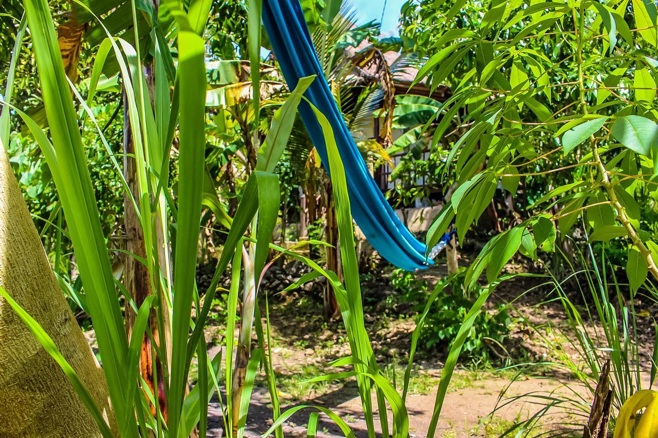 Echo Alam Nusa Lodge Ped Eksteriør bilde