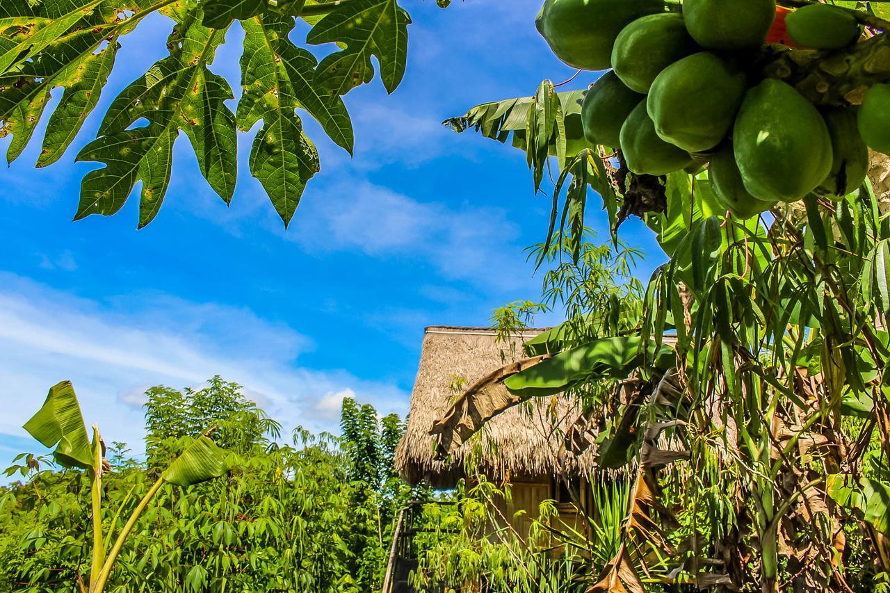 Echo Alam Nusa Lodge Ped Eksteriør bilde