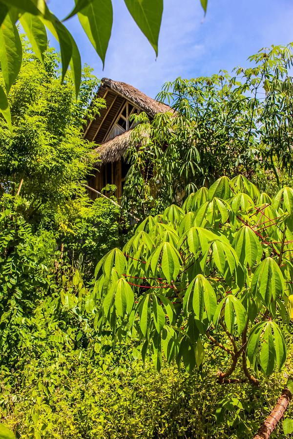 Echo Alam Nusa Lodge Ped Eksteriør bilde